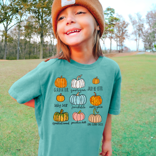 Pumpkin Variation Comfort Colors Youth Fall Graphic Tee