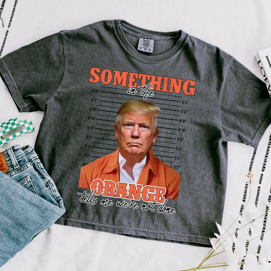 Something In Orange Comfort Colors Graphic Tee