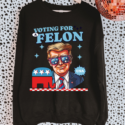 Voting For A Felon Political Sweatshirt